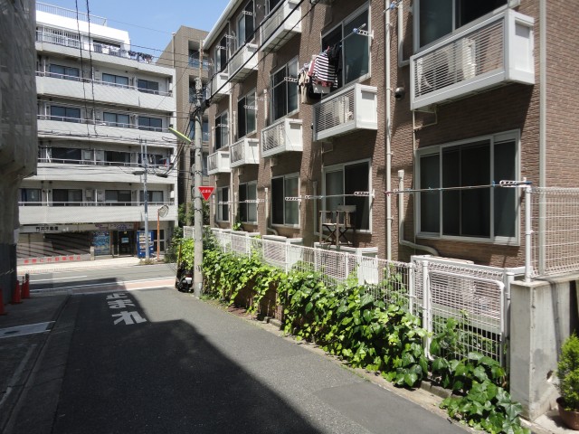 (外観)