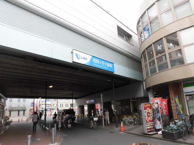 祖師ヶ谷大蔵駅(周辺)