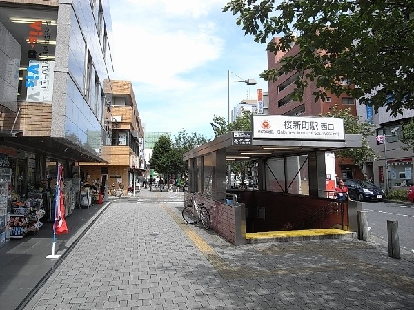 桜新町駅から(周辺)