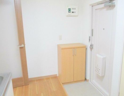 ※同仕様写真を含む(玄関)