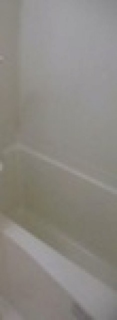 ※同仕様写真含む(風呂)