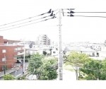 ※同仕様写真
