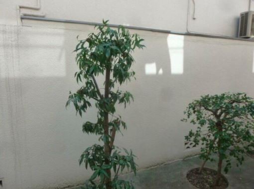 ※同仕様写真を含む