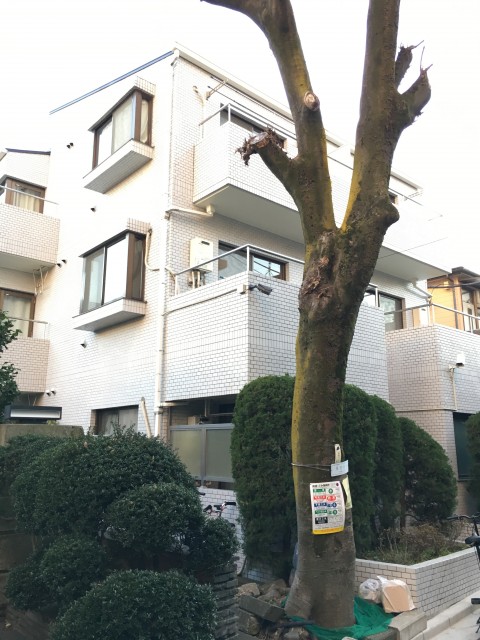 (外観)