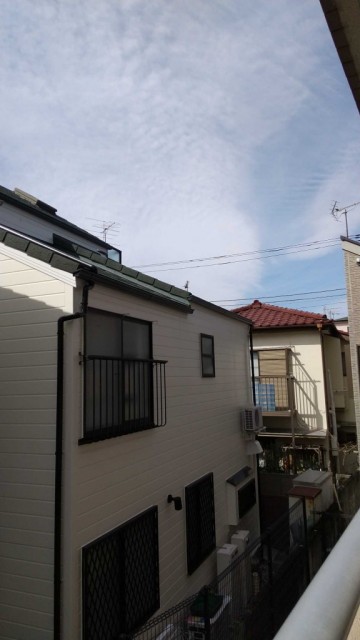 ※同仕様写真含む