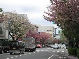 桜新町駅(周辺)