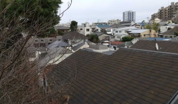 ※同仕様写真含む