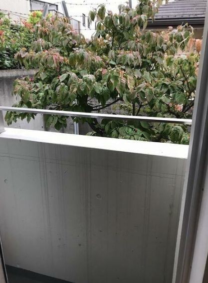 ※同仕様写真含む