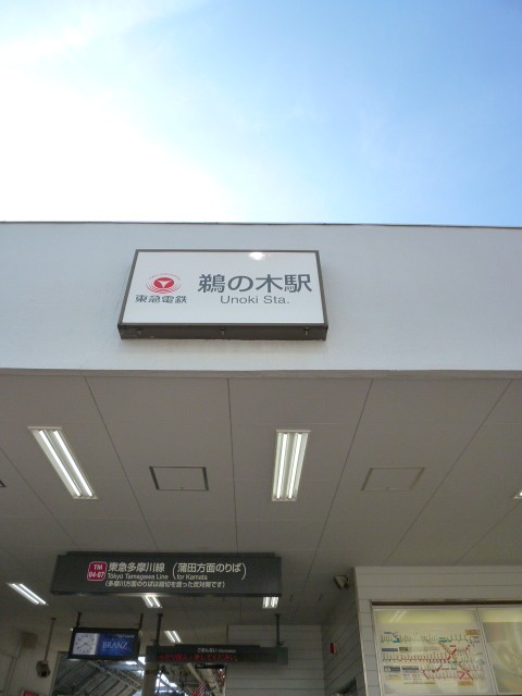 鵜の木駅(周辺)