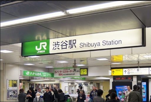 渋谷駅(周辺)
