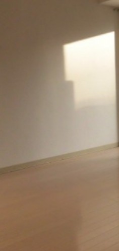 ※同仕様写真含む(居間)