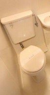 ※同仕様写真(内装)