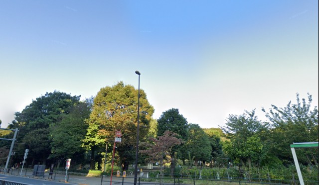 【国立科学博物館附属 自然教育園】目黒駅から(周辺)