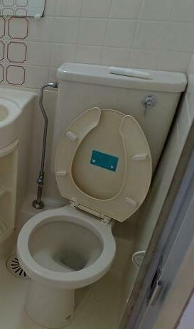 ※同仕様写真含む(内装)