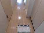 ※同仕様写真を含む(玄関)