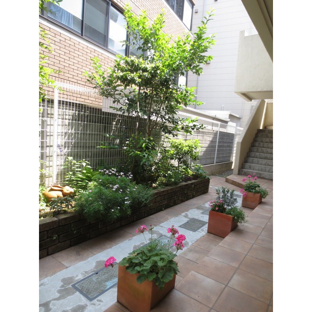 (その他建物画像)
