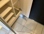 ※同仕様写真を含む(玄関)