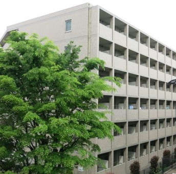 川崎市宮前区土橋2丁目 【賃貸居住】マンション