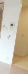 ※同仕様写真含む(内装)