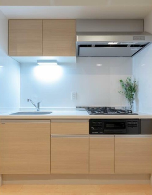 家具は付きません(キッチン)