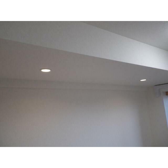 ダウンライト(居間)