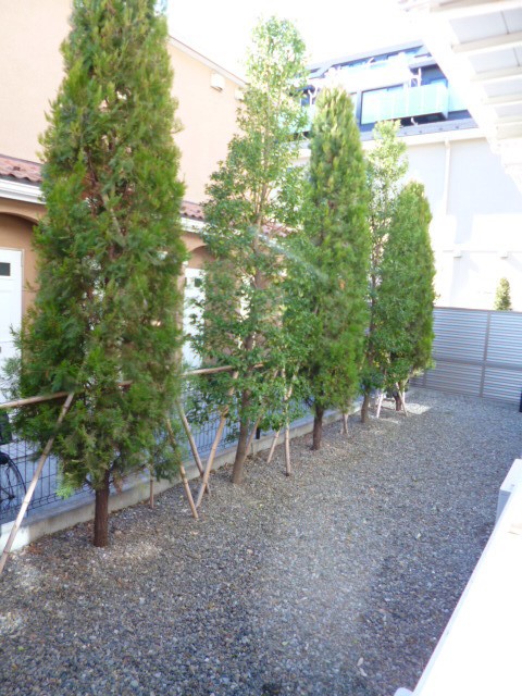 (その他建物画像)