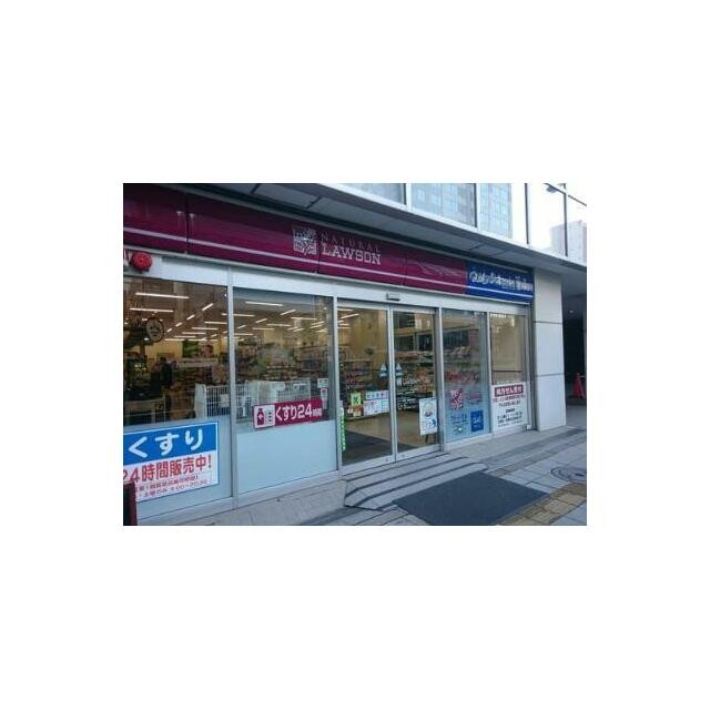 ナチュラルローソン 高輪台駅前店（468m）(周辺)