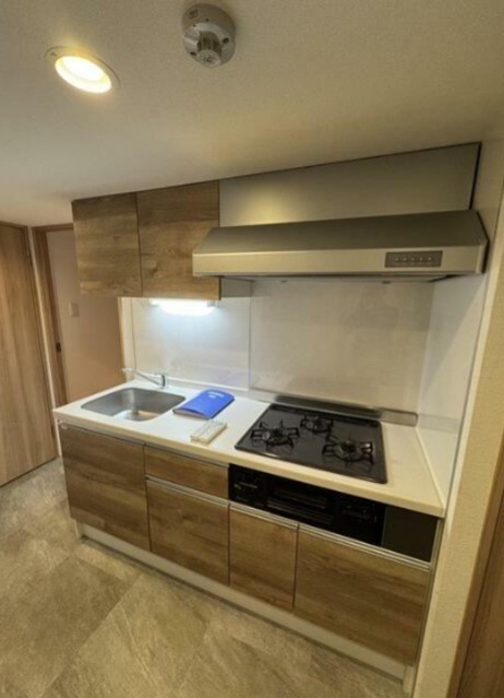 2025年6月撮影(キッチン)