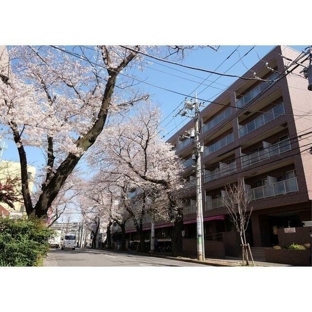 横浜市青葉区美しが丘2丁目 【賃貸居住】マンション