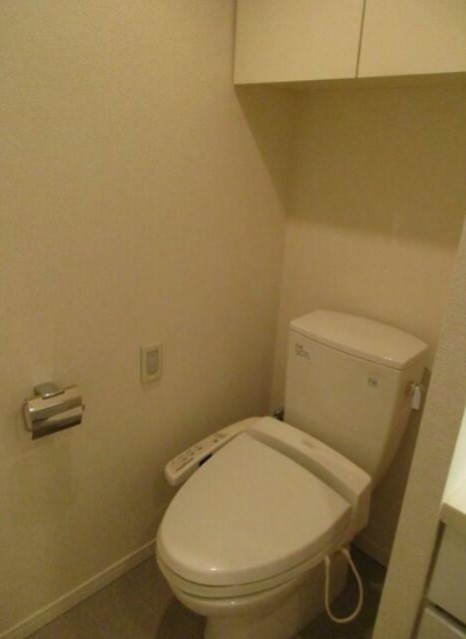 Lタイプ2016年12月撮影同タイプ311号室の写真です(内装)