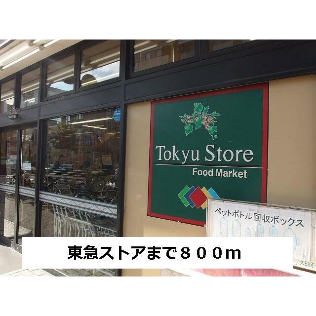 東急ストア（800m）(周辺)