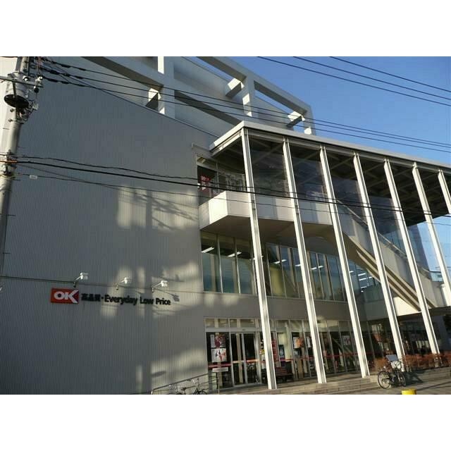 オーケーストア（250m）(周辺)