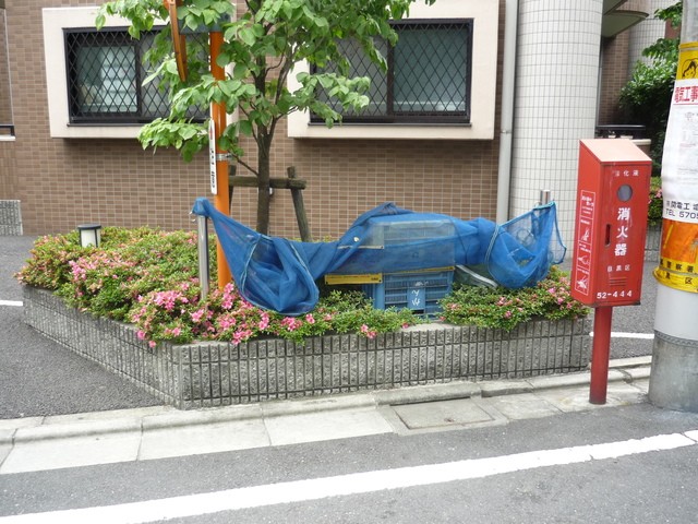 (その他建物画像)