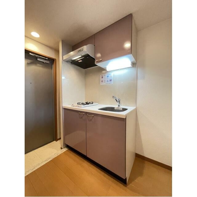 同タイプ参考写真(キッチン)