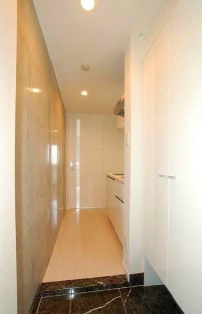 カラータイプ異なります(玄関)