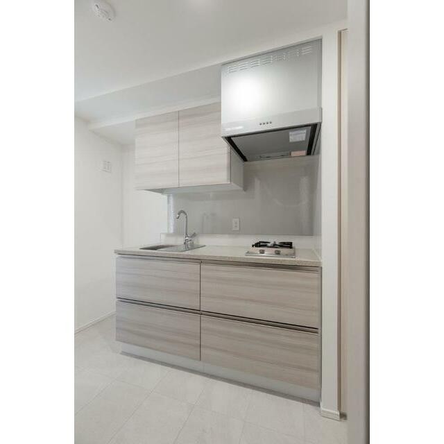 Eタイプ2024年2月撮影 同タイプ210号室の写真です(キッチン)