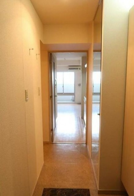 ※同仕様住戸を含む。(玄関)