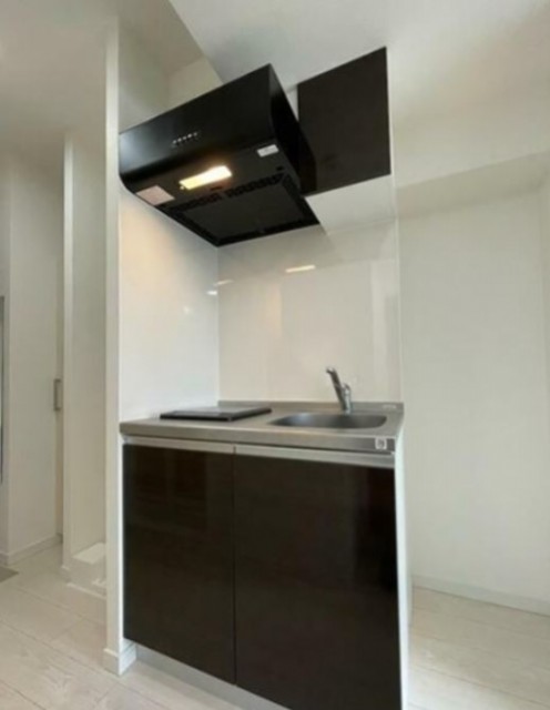 ※同仕様住戸を含む。(キッチン)