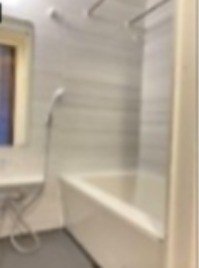 同仕様写真を含む(風呂)