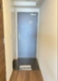 同仕様写真を含む(玄関)