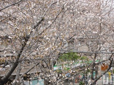 ※同仕様写真含む