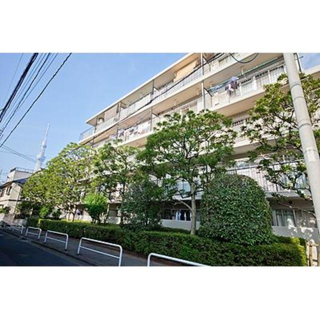 墨田区東向島3丁目 【賃貸居住】マンション