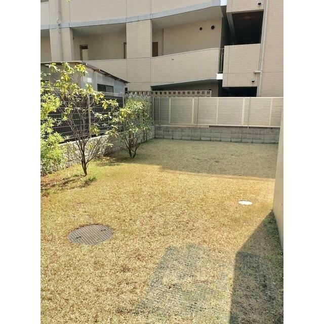 ドッグラン 2019.4撮影