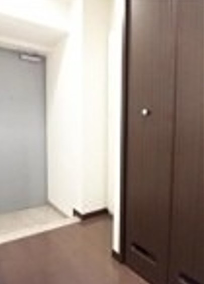 ※同仕様写真含む(玄関)