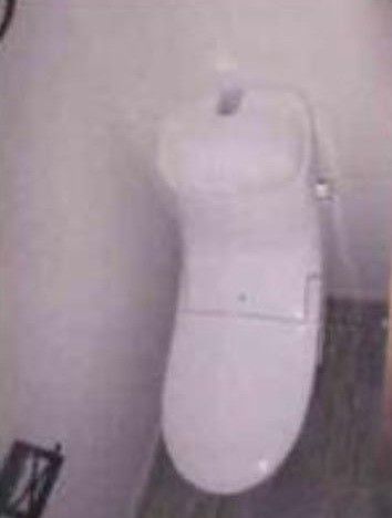 ※同仕様写真含む(内装)