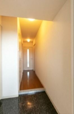 ※同仕様写真含む(玄関)