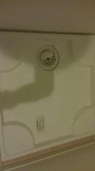 ※同仕様写真含む