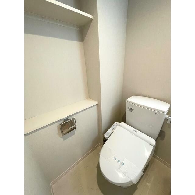 温水洗浄便座付きです。収納棚もあります。(内装)