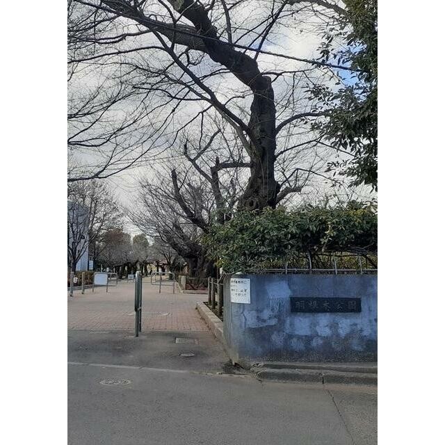 羽根木公園（500m）(周辺)