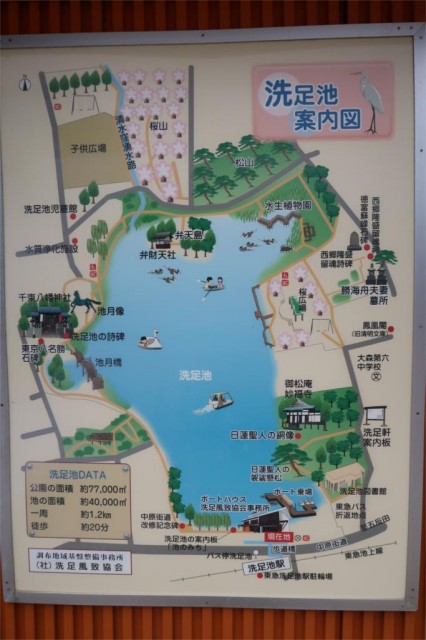 洗足池公園（450m）(周辺)